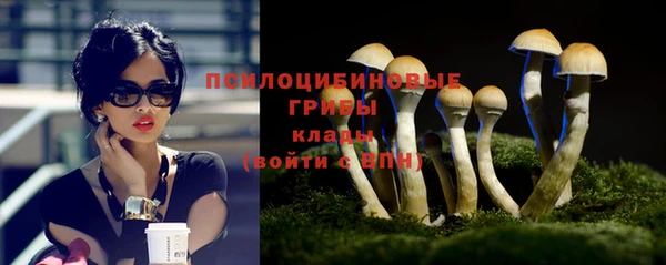ПСИЛОЦИБИНОВЫЕ ГРИБЫ Заводоуковск