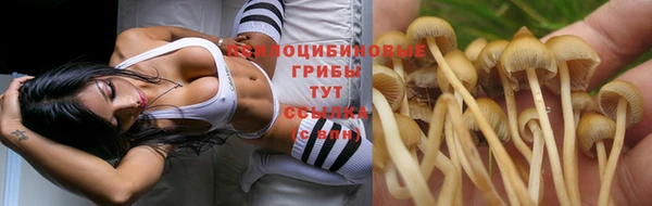 первитин Зеленокумск