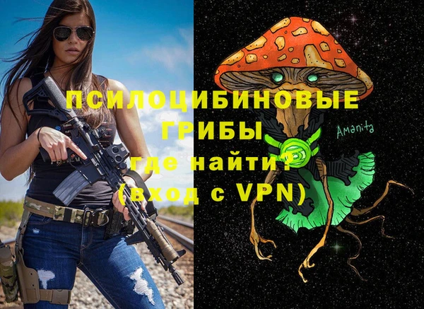 ПСИЛОЦИБИНОВЫЕ ГРИБЫ Заводоуковск